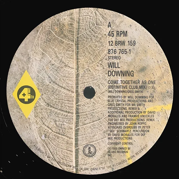 Album cover for Come Together As One by Will Downing