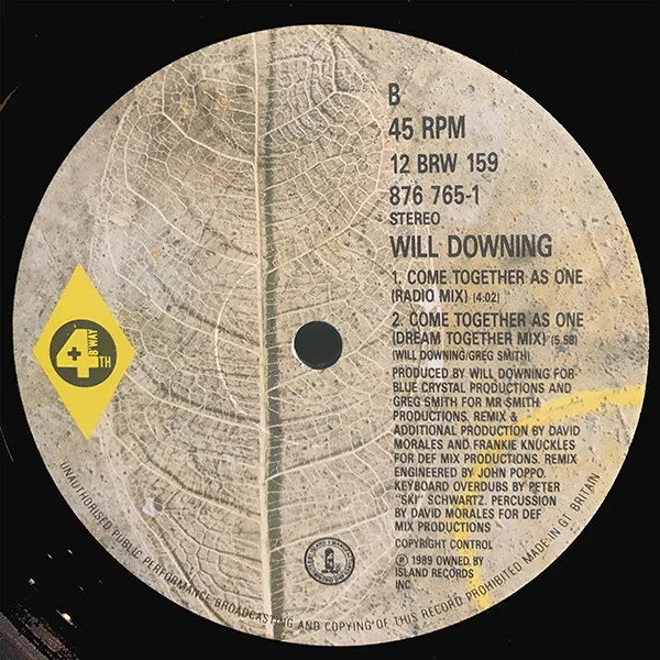 Album cover for Come Together As One by Will Downing