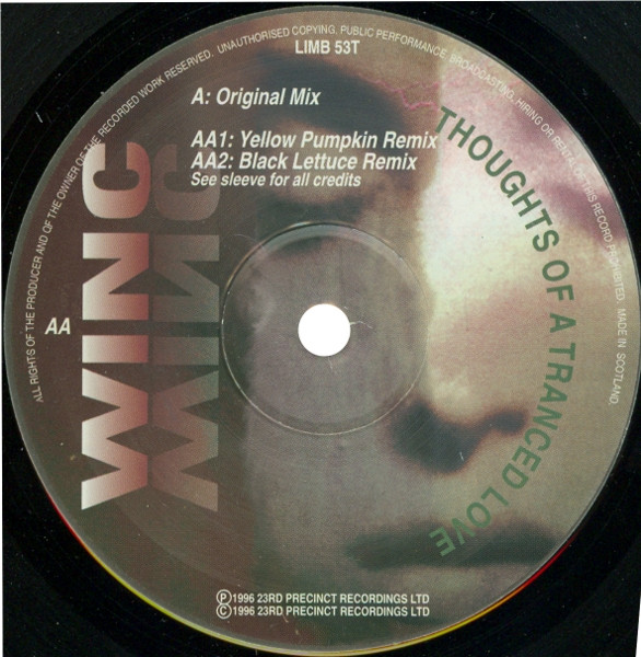Josh Wink - Thoughts Of A Tranced Love, Electronic, Progressive House, 1996 - Limbo Records, UK, Vinyl 1x 12", 33 ⅓ RPM, Sing