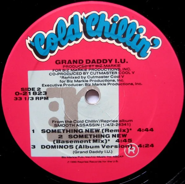 Album cover for Something New by Grand Daddy I.U.