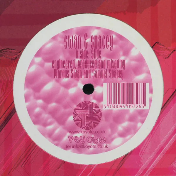 Album cover for Moonlight by Swan & Spacey