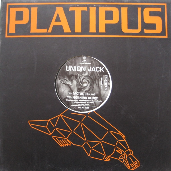 Cactus / Morning Glory