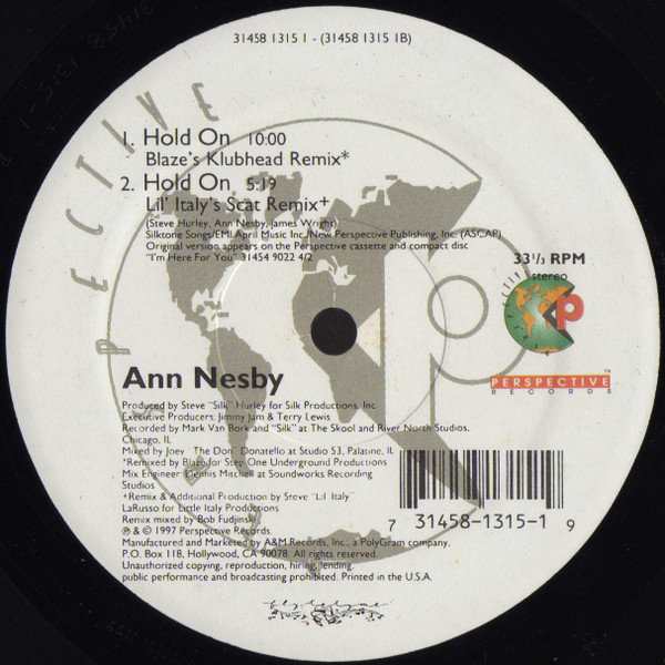 Ann Nesby - Hold On, Electronic, Deep House, Garage House, House, 1997 - Perspective Records, US, Vinyl 1x 12", 33 ⅓ RPM
