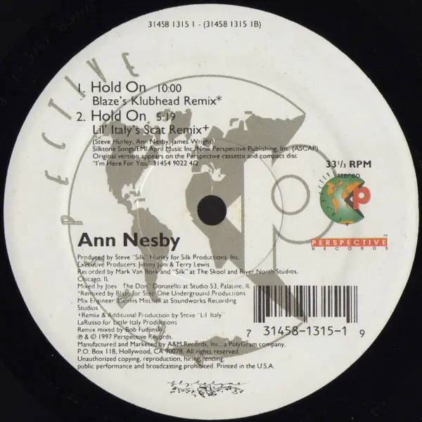 Ann Nesby - Hold On, Electronic, Deep House, Garage House, House, 1997 - Perspective Records, US, Vinyl 1x 12", 33 ⅓ RPM