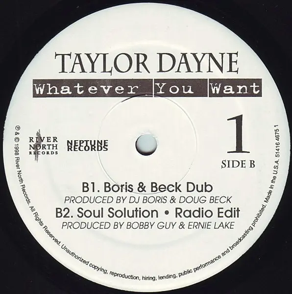 Taylor Dayne - Whatever You Want - 1998 - House, Speed Garage - River North Records - Vinyl 2x 12", Promo