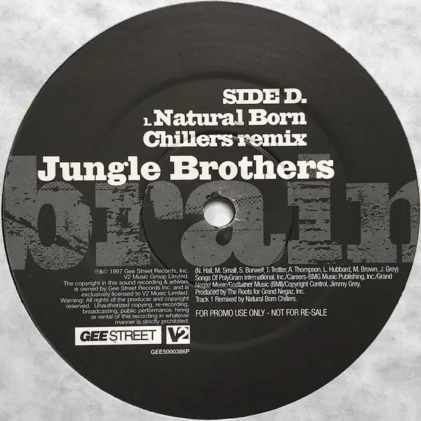 Album cover for Brain by Jungle Brothers