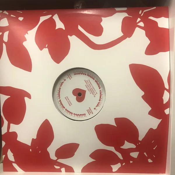 Album cover for Middle Name Dance Tracks Vol. 2 by Middle Name Dance Band, Sampology, Sam Stosuur, Megan Christensen