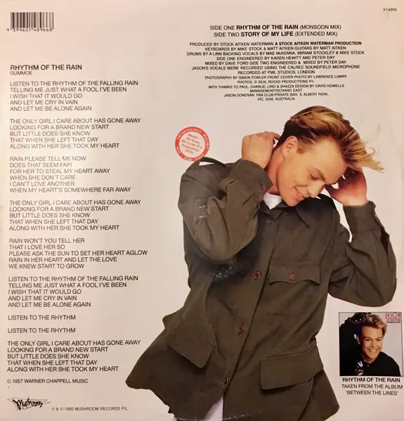 Jason Donovan - Rhythm Of The Rain, Electronic, Pop, House, 1990 - Mushroom, Australia, Vinyl 1x 12"
