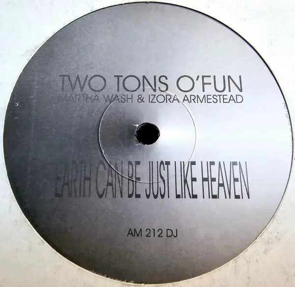 Two Tons O' Fun - Earth Can Be Just Like Heaven, Electronic, Disco, Garage House, 1999 - Not On Label, Vinyl 1x 12", 33 ⅓ RPM