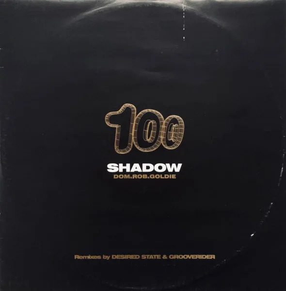 Shadow 100 (Remixes By Desired State & Grooverider)