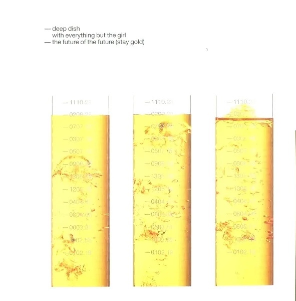 Album cover for The Future Of The Future (Stay Gold) by Deep Dish With Everything But The Girl