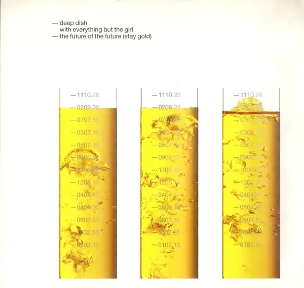 The Future Of The Future (Stay Gold)