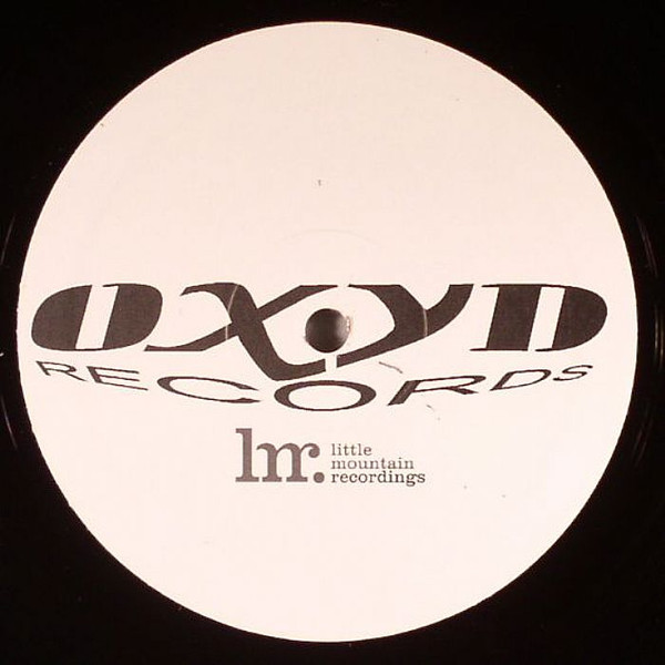 Sander Kleinenberg - The Fruit, Electronic, Breaks, Electro, House, Progressive House, 2005 - Oxyd Records, Italy, Vinyl 1x 1