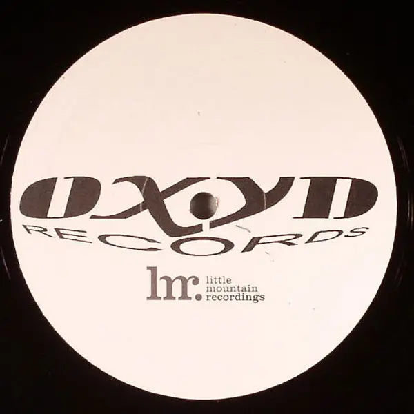 Sander Kleinenberg - The Fruit, Electronic, Breaks, Electro, House, Progressive House, 2005 - Oxyd Records, Italy, Vinyl 1x 1