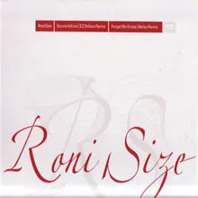 Sound Advice (E-Z Rollers Remix) / Forget Me Knots (DJ Bailey Remix) - Touching Down Remixes Part 2