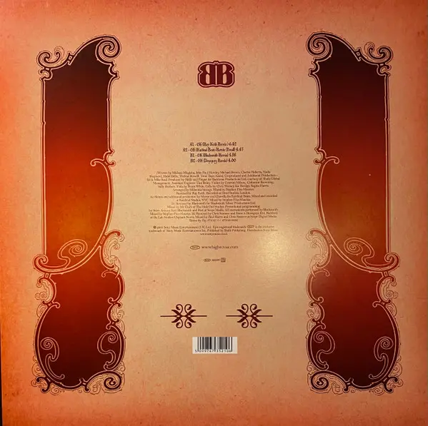 Album cover for Ok by Big Brovaz