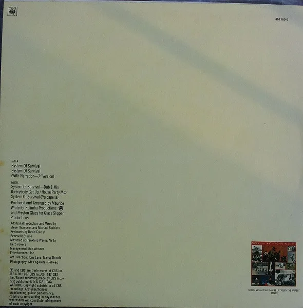 Album cover for System Of Survival (12" Mixes) by Earth, Wind & Fire