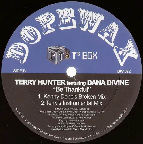 Terry Hunter Featuring Dana Divine - Be Thankful, Electronic, House, 2005 - Dopewax, US, Vinyl 1x 12", 33 ⅓ RPM