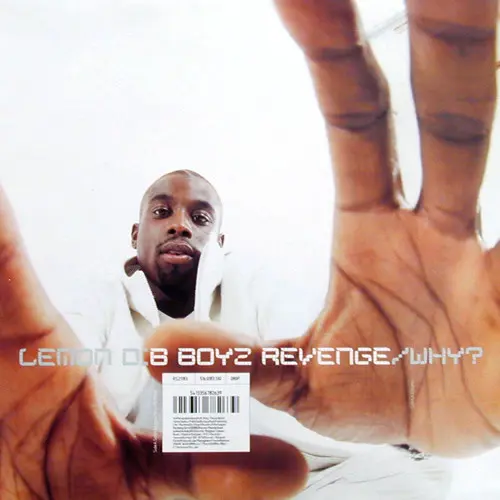 Lemon D - B Boyz Revenge / Why?, Electronic, Drum n Bass, 2001 - R & S Records, Belgium, Vinyl 1x 12", 45 RPM
