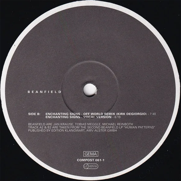 Album cover for Enchanting Signs by Beanfield