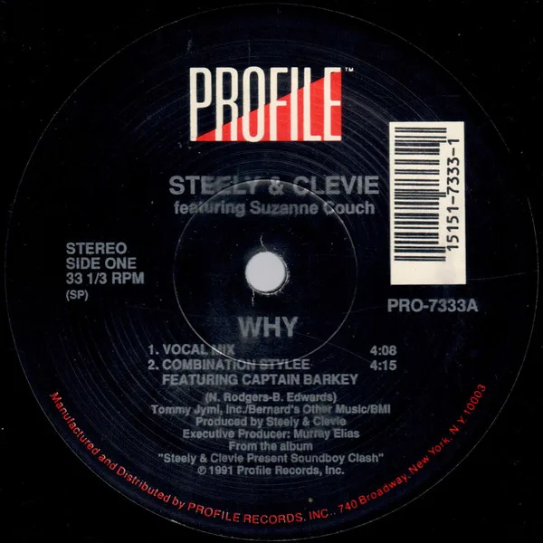 Album cover for Why by Steely & Clevie Featuring Suzanne Couch