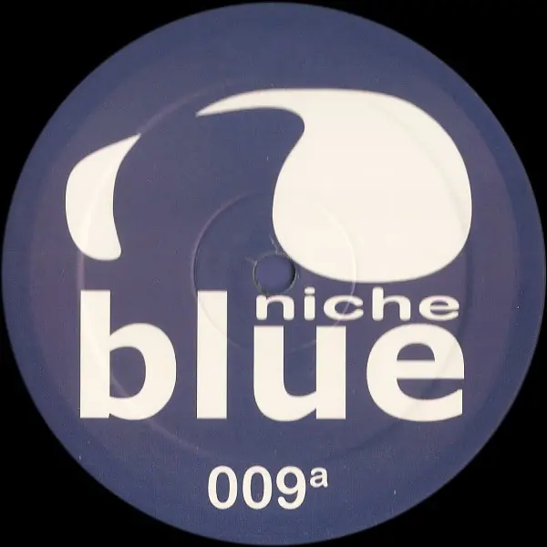 Spiritchaser - Other Side Of Blue, Electronic, Progressive House, Tech House, 2001 - Niche Blue, UK, Vinyl 1x 12"