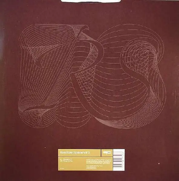 Album cover for Snapshot 3 by Roni Size