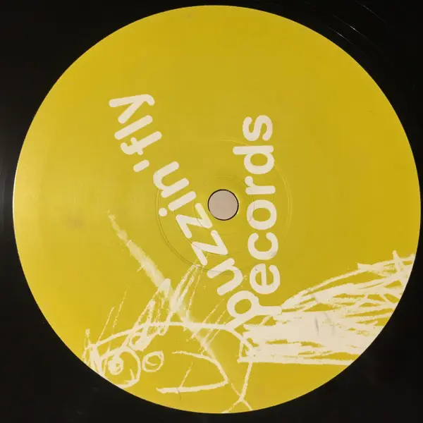 Ben Watt - Lone Cat (Holding On), Electronic, Deep House, Garage House, House, 2003 - Buzzin' Fly Records, UK, Vinyl 1x 12", 