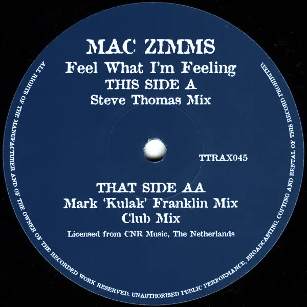Album cover for Feel What I'm Feeling by Mac Zimms