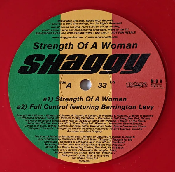 Album cover for Strength Of A Woman by Shaggy