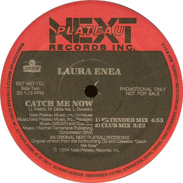 Laura Enea - Catch Me Now, Electronic, Freestyle, 1994 - Next Plateau Records Inc., US, Vinyl 1x 12", Promo