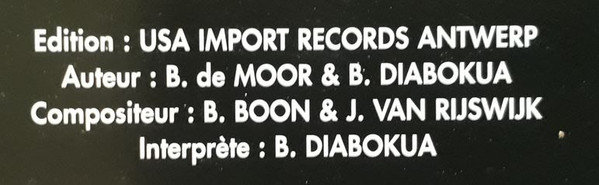 Natural Born Grooves Feat Bibi - All Or Nothing, Electronic, House, Trance, 1998 - BMG France, DanceNet, RCA, France, Vinyl 1