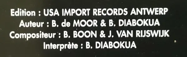 Natural Born Grooves Feat Bibi - All Or Nothing, Electronic, House, Trance, 1998 - BMG France, DanceNet, RCA, France, Vinyl 1