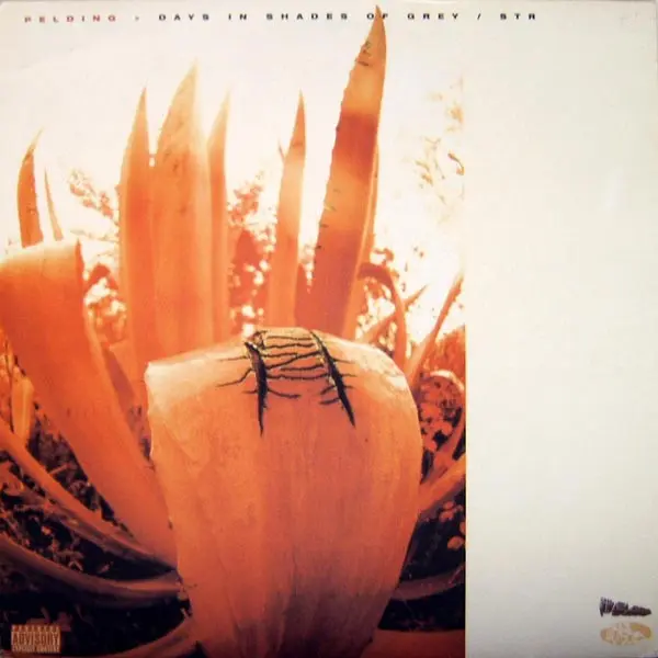 Days In Shades Of Grey / Streetbuzz