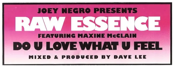 Joey Negro Presents Raw Essence Featuring Maxine McClain - Do U Love What U Feel, Electronic, Disco, House, 2000 - Z Records,