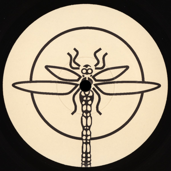 12 Moons - Northern Star / Blind Man's Vision, Electronic, Progressive Trance, Psy-Trance, 2001 - Dragonfly Records, UK, Viny