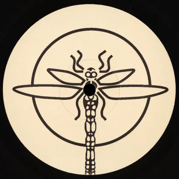 12 Moons - Northern Star / Blind Man's Vision, Electronic, Progressive Trance, Psy-Trance, 2001 - Dragonfly Records, UK, Viny