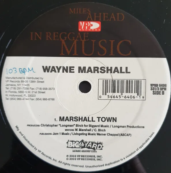 Album cover for She's Hot / Marshall Town by T.O.K. / Wayne Marshall