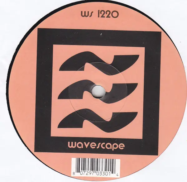 Stepfatherz - Maschinenstaub, Electronic, Techno, 2001 - Wavescape, Germany, Vinyl 1x 12"