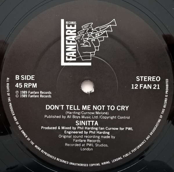 Sinitta - Love On A Mountain Top (An Everlasting Knight Mix), Electronic, House, Synth-pop, 1989 - Fanfare Records, UK, Vinyl