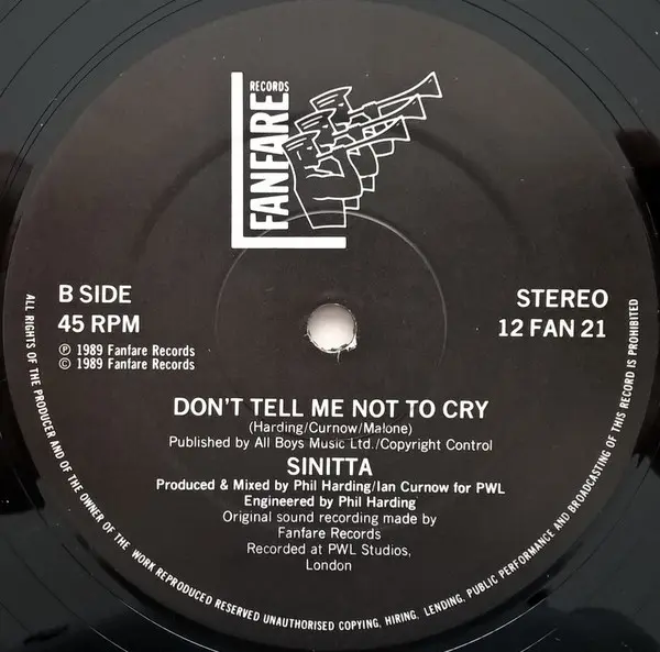 Sinitta - Love On A Mountain Top (An Everlasting Knight Mix), Electronic, House, Synth-pop, 1989 - Fanfare Records, UK, Vinyl