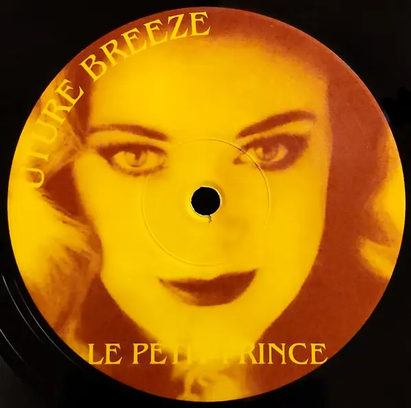 Album cover for Read My Lips by Future Breeze