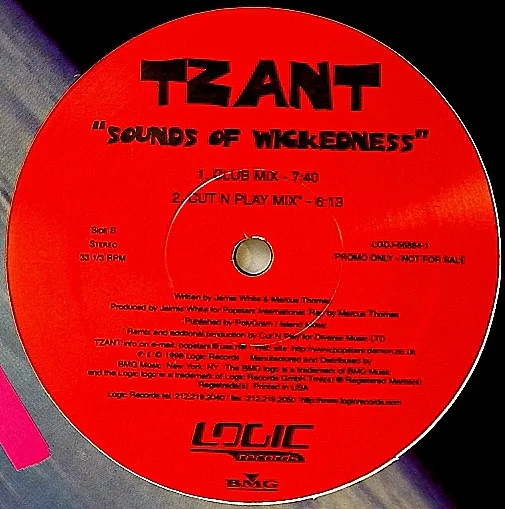 Album cover for Sounds Of Wickedness by Tzant