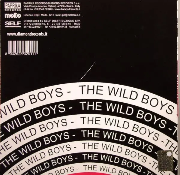Light Zone - The Wild Boys, Electronic, House, 2004 - Paprika, Italy, Vinyl 1x 10"