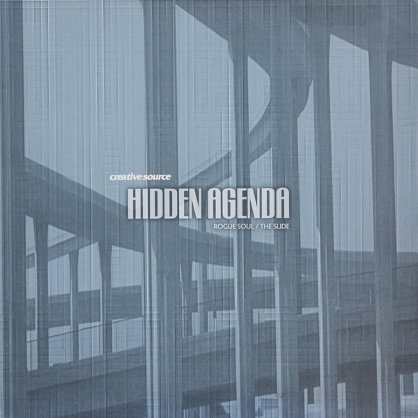 Rogue Soul / The Slide