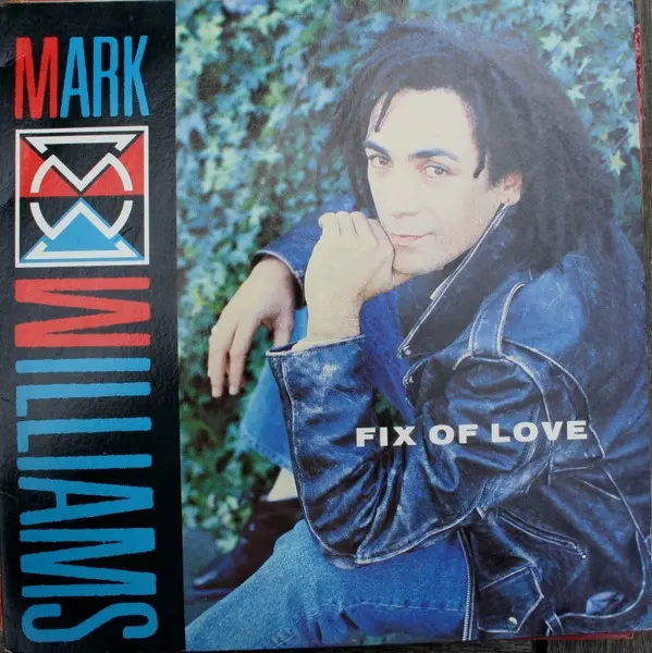 Fix Of Love