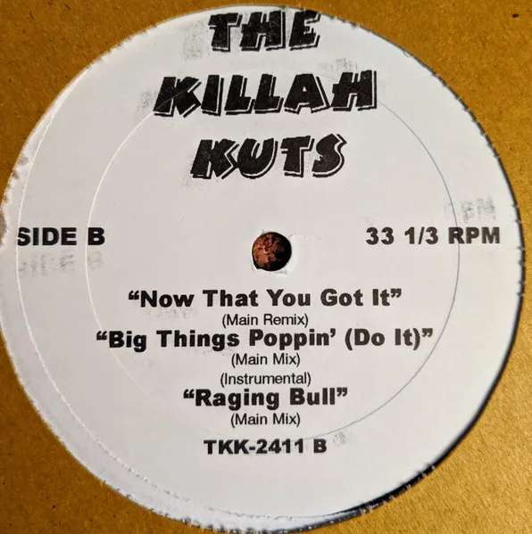 Album cover for The Killah Kuts by Various