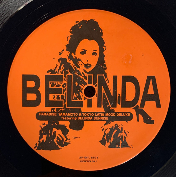 Paradise Yamamoto & Tokyo Latin Mood Deluxe Featuring Belinda Sunrise - Hit The Conga, Electronic, House, 1996 - Pony Canyon 