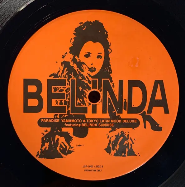 Paradise Yamamoto & Tokyo Latin Mood Deluxe Featuring Belinda Sunrise - Hit The Conga, Electronic, House, 1996 - Pony Canyon 