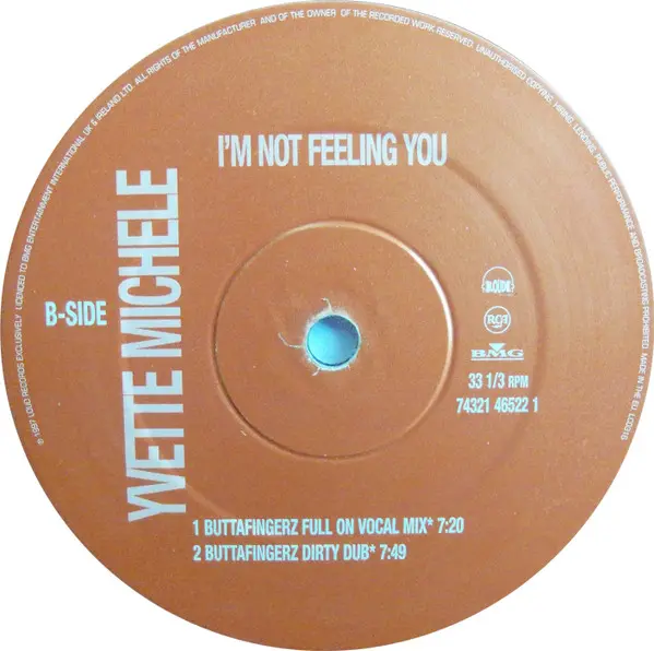 Yvette Michele - I'm Not Feeling You, Electronic, Funk / Soul, Hip Hop, Contemporary R&B, House, 1997 - BMG, UK, Vinyl 1x 12"